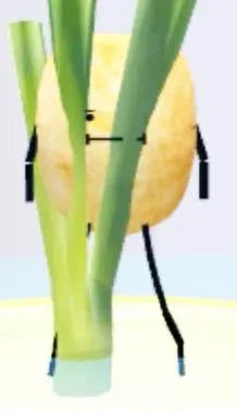 template item image