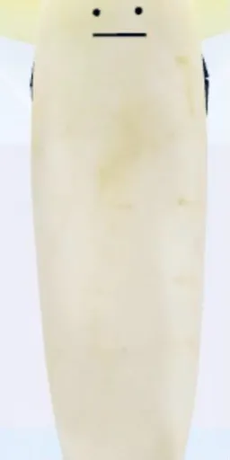 template item image