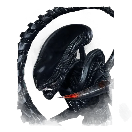 template item image
