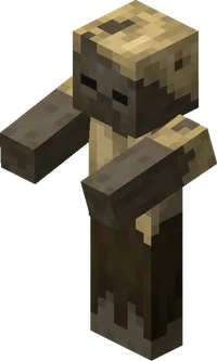template item image