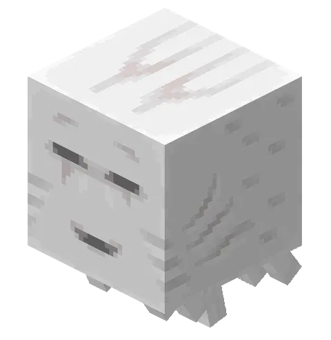 template item image