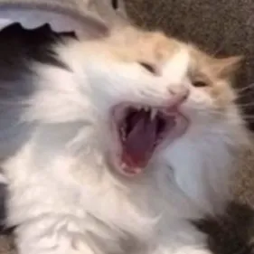 template item image