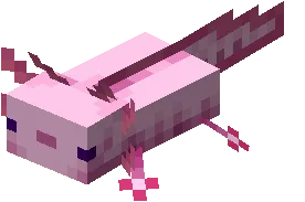 template item image
