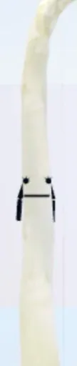 template item image