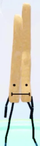 template item image