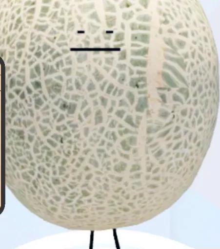template item image