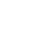 template item image