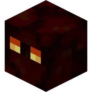 template item image