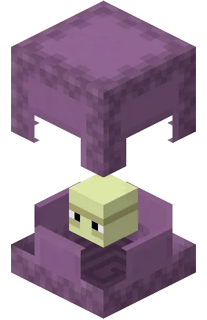 template item image
