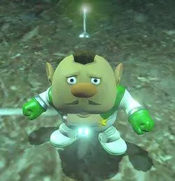 template item image