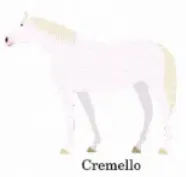 template item image