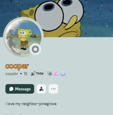 template item image