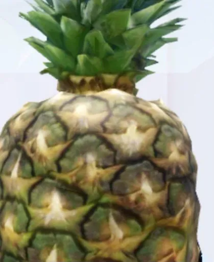 template item image