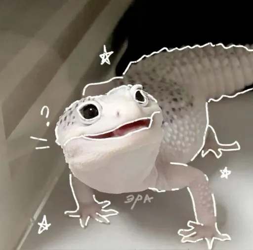 template item image