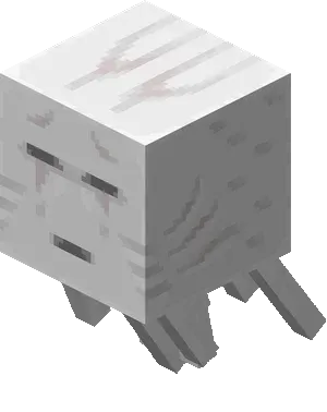 template item image