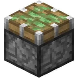 template item image