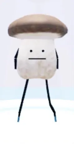template item image