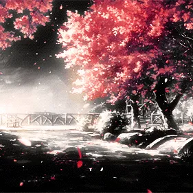 author profile image